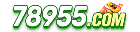 78955.COM